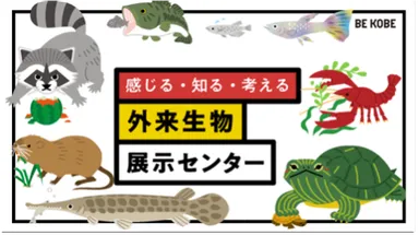 外来生物ってなに？外来生物問題について学ぼう！