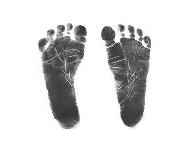 足の裏から体のひみつを探ろう！～フットプリント実験教室から