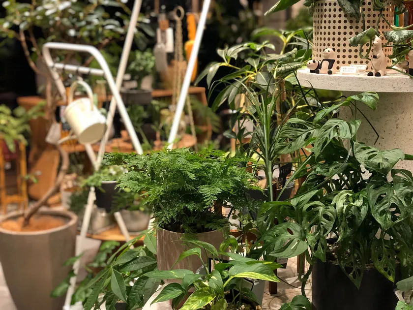 本館(3)