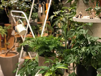 本館(3)