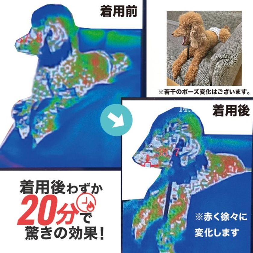画像6