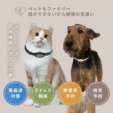 Pemilyネックレスとは？