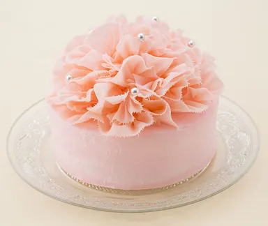 「マザーズフラワー ～カーネーション～」イメージ