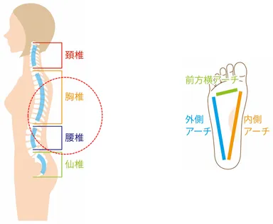 寺出先生の解説