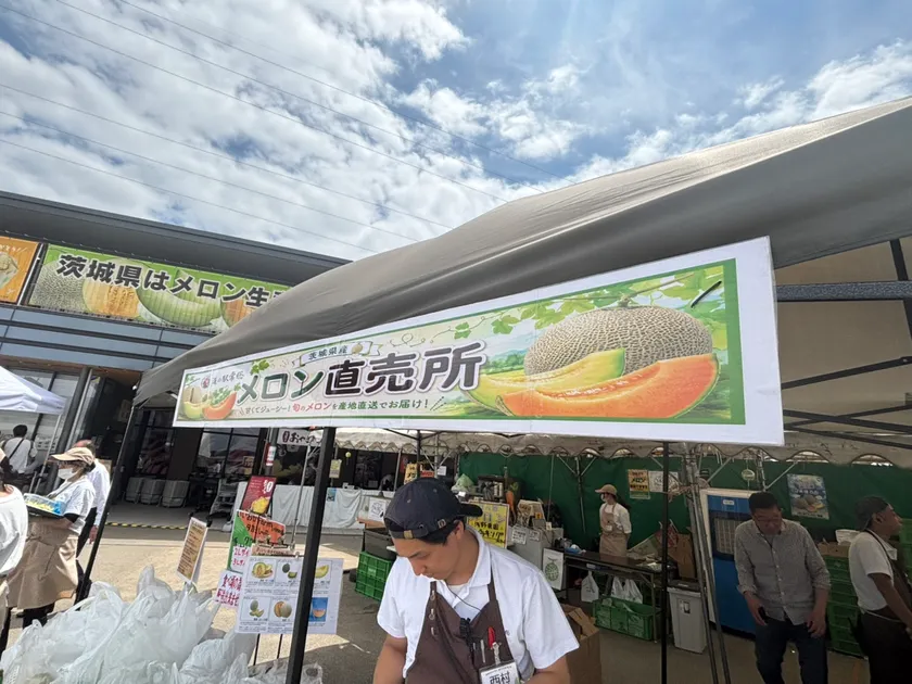 メロン直売!