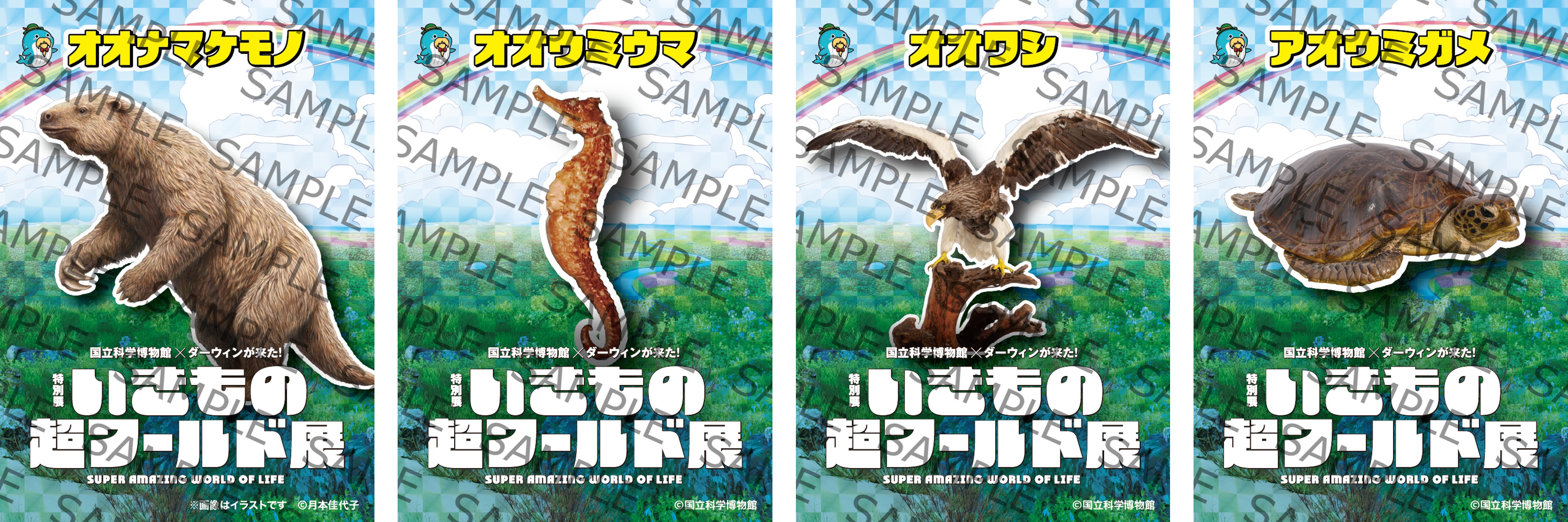 画像13