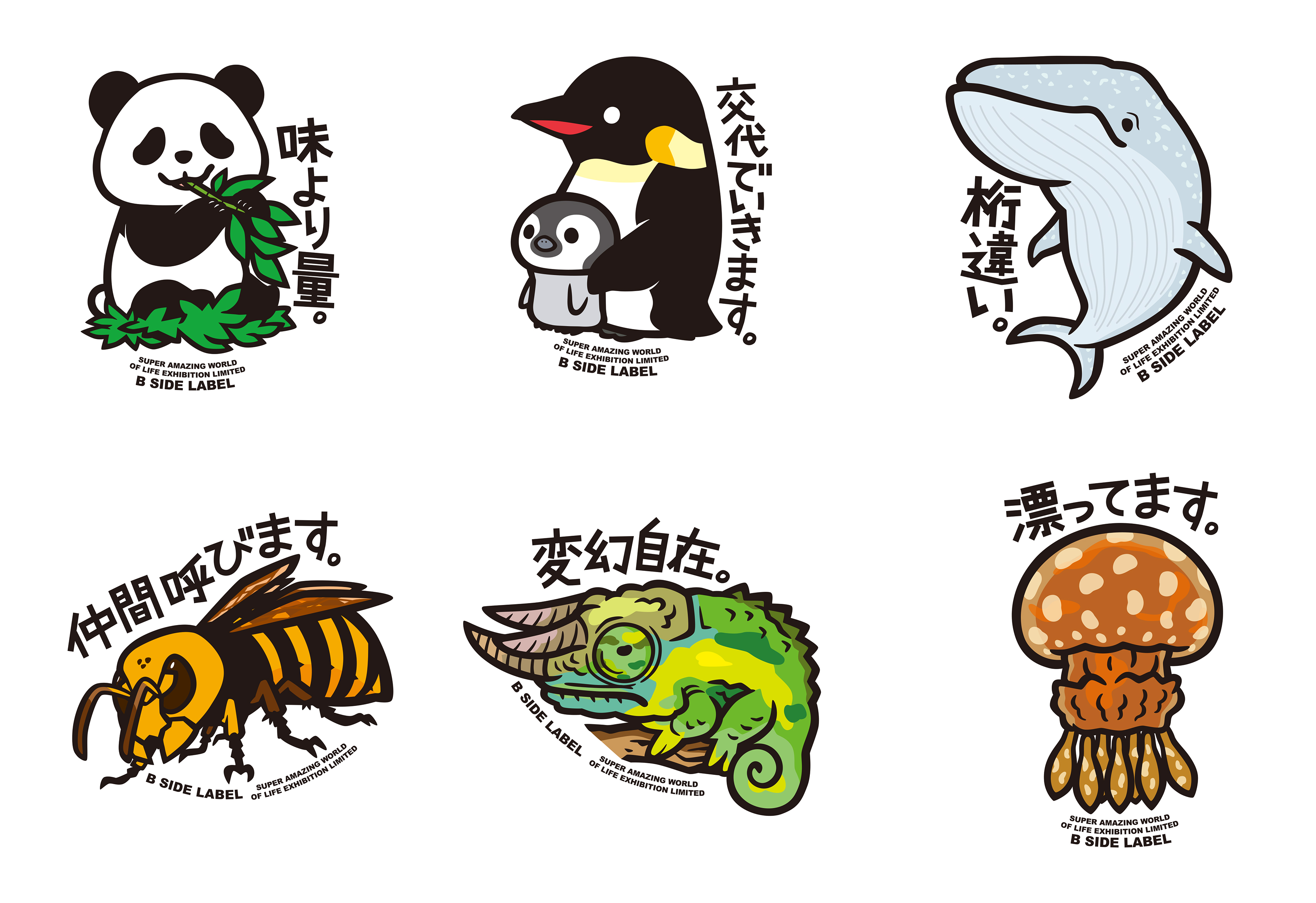 画像7