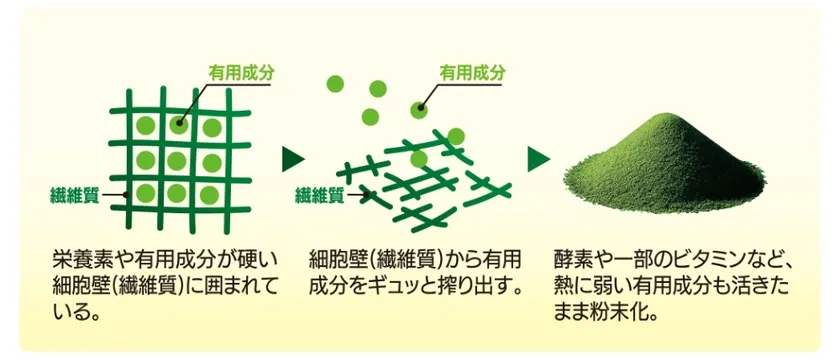 生搾り国産大麦若葉エキス