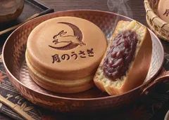 月のうさぎ_イメージ