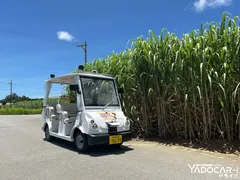 「YADOCAR-iドライブ」を搭載したゴルフカート型車両