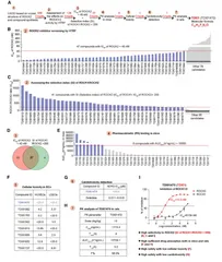 ヒト線維化肝臓血管内皮細胞および血管周囲造血幹細胞における ROCK2 の発現上昇