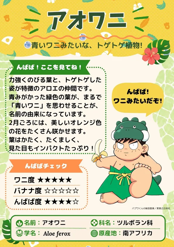 んばば！んばば！ん？ばなな？わに？な植物展