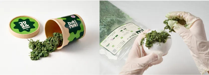 特殊塗料メーカーが開発した生きたコケでできた塗料「コケヌル」　日研株式会社×株式会社ナリカタデザイン相談室