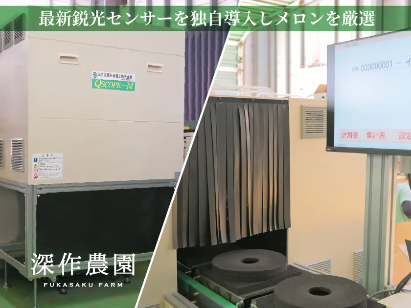 最新鋭の光センサーを独自導入しメロンを厳選しています