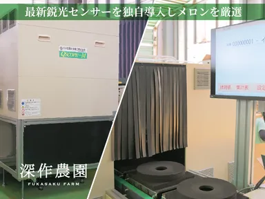 最新鋭の光センサーを独自導入しメロンを厳選しています