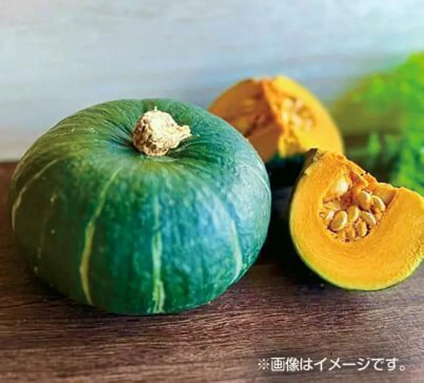 かぼちゃ積み放題(8/1(土)のみ)