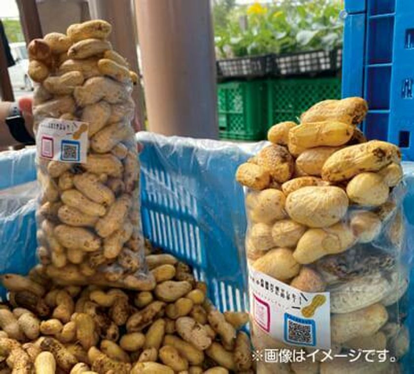 画像7