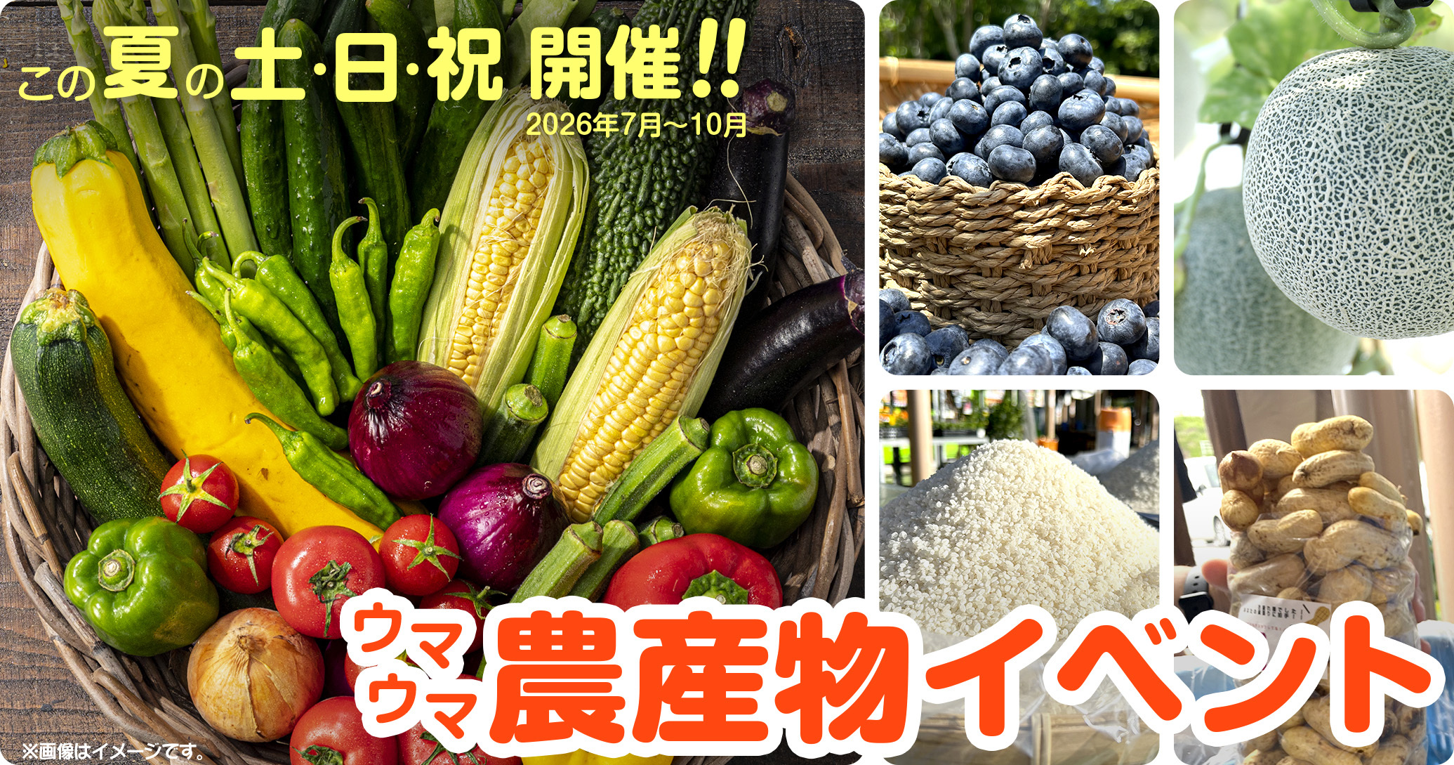 【道の駅木更津 うまくたの里】土日祝恒例の詰め放題に「メロン」「ブルーベリー」が登場！野菜だけでない、旬の果物も楽しめる「ウマウマ農産物イベント」7月～10月も開催継続！