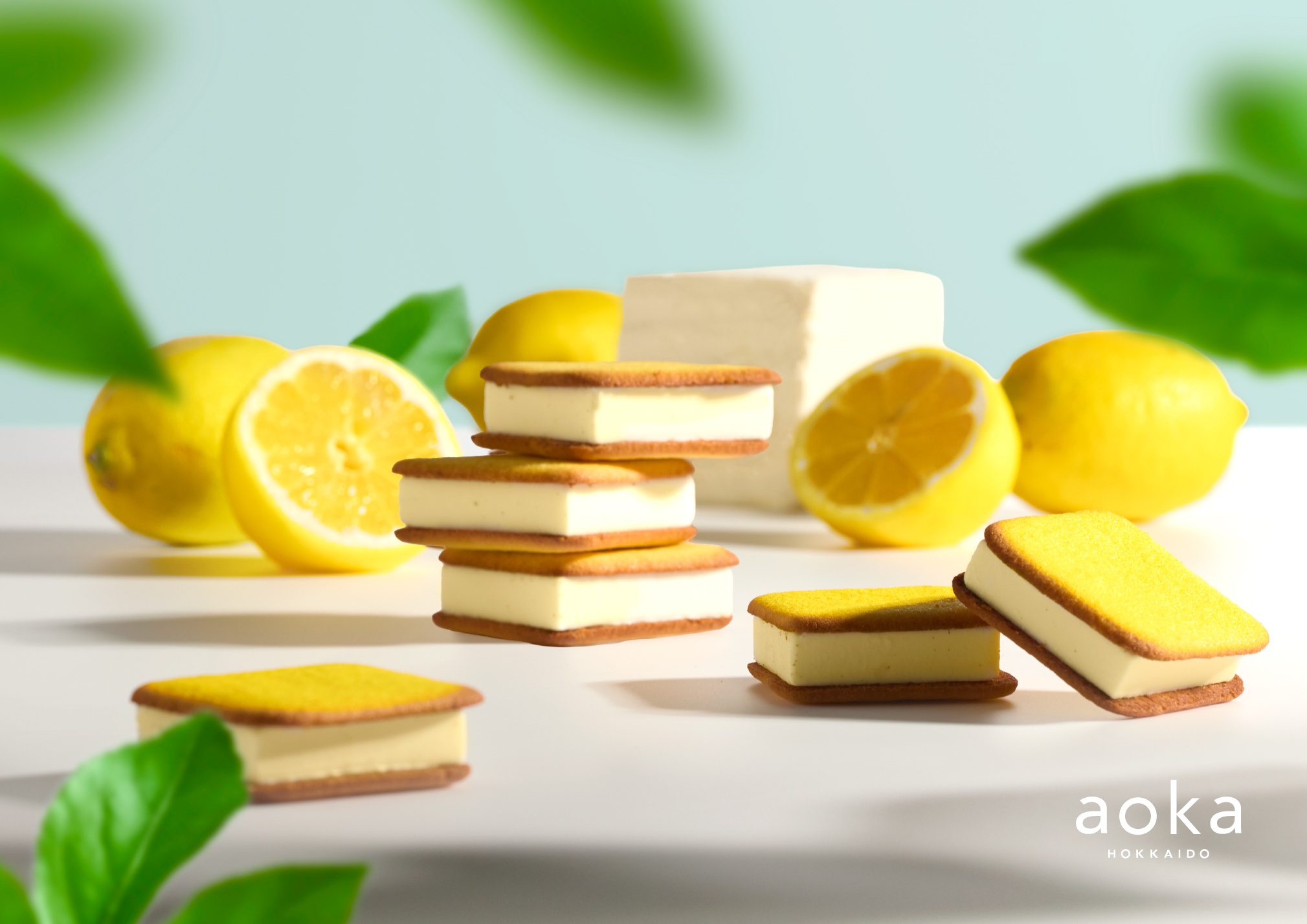 �̳�ƻȯaoka��������Ź�˴��ָ����Ź���Ƶ����꾦�ʡإ������������ɡ٤�7/8��ȯ��