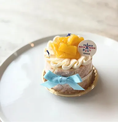 「Patisserie cafe Toppen」の「シャルロット・ピニャコラーダ」