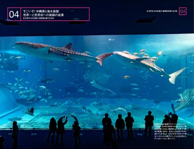海洋博公園・沖縄美ら海水族館を超楽しむ100のこと