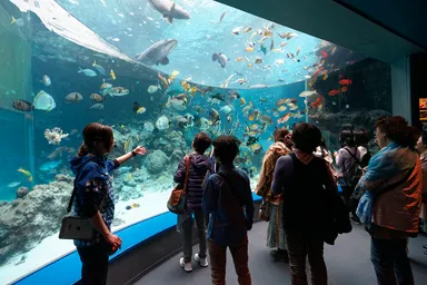 【AQUARIUM】海洋博公園・沖縄美ら海水族館