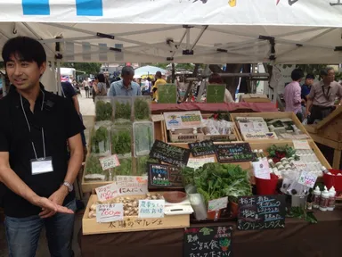 太陽のマルシェ