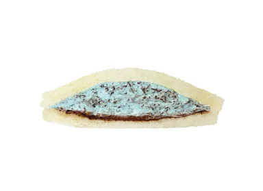 チョコミント