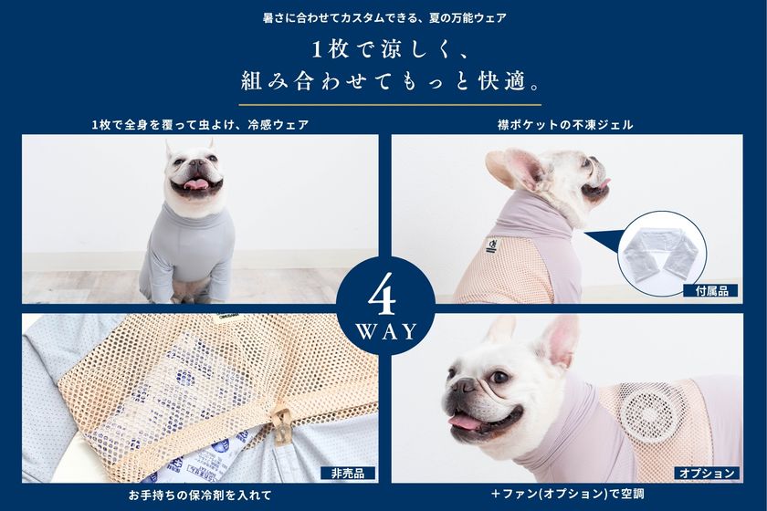 画像4
