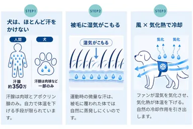10_空調ペット服の涼しさの仕組み