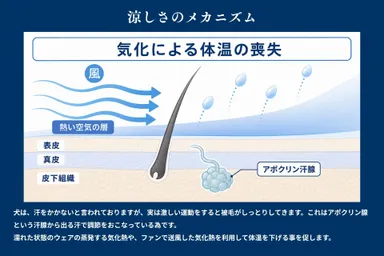 7_気化熱の仕組み