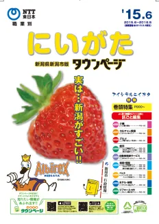 『タウンページ新潟県新潟市版』