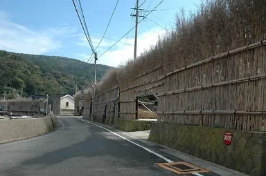 大沢イメージ画像　その２