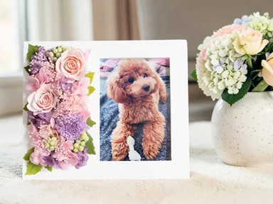 生花・プリザーブドフラワーなど用途に合わせた商品を展開