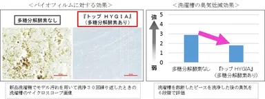 トップ HYGIAの効果
