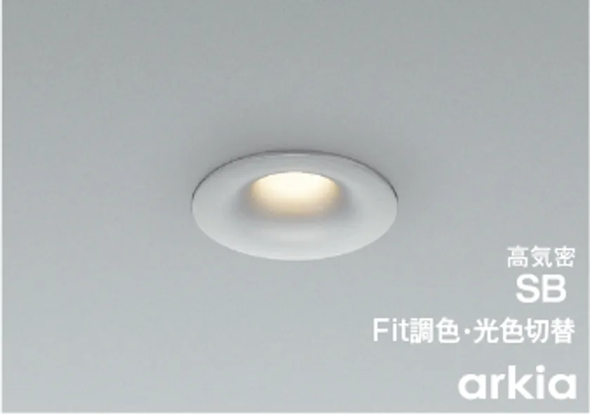 arkia ダウンライト(アルミダイカスト・ブライトシルバー塗装)