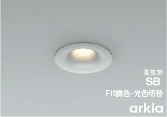 arkia ダウンライト(アルミダイカスト・ブライトシルバー塗装)