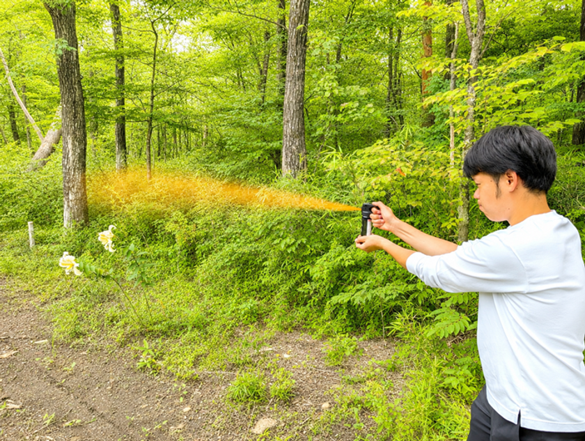 画像5