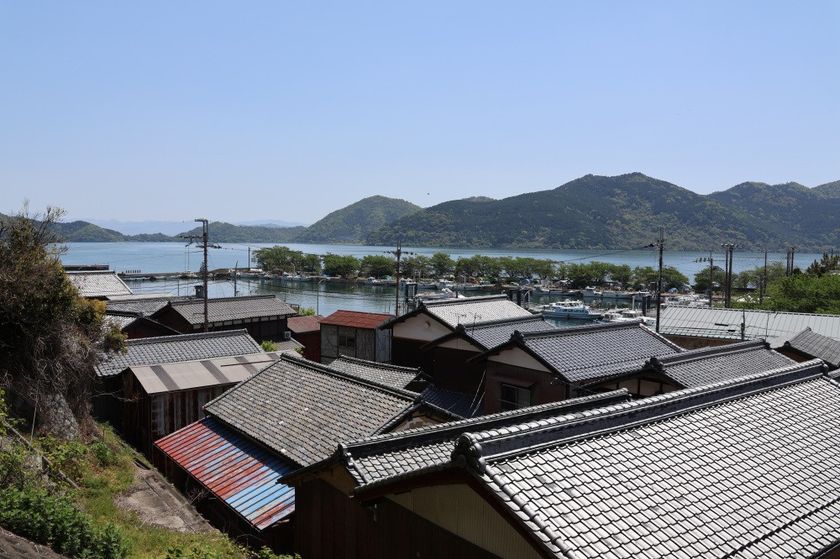画像4