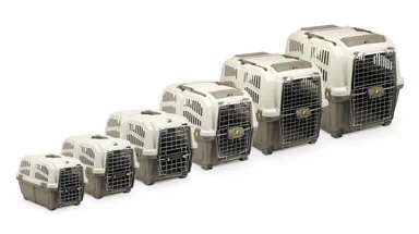 犬種に合わせて豊富なバリエーション