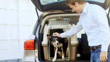 車での移動も快適