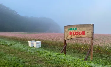 赤そばの里看板