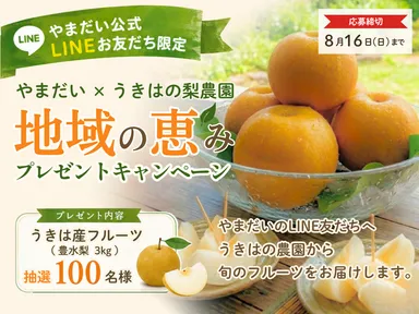 MAI NAGAMOTO × LIBERTY「Treasure Box」を限定販売 | 株式会社LIBERTY MAI NAGAMOTO × LIBERTY「Treasure Box」を限定販売 | 株式会社LIBERTY