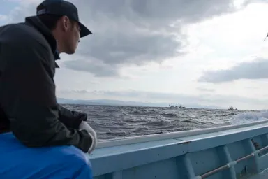 水揚げイメージ2