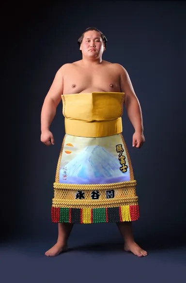 照ノ富士関（永谷園特製　化粧回し）