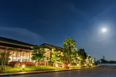 幻想的な玄関の夜景