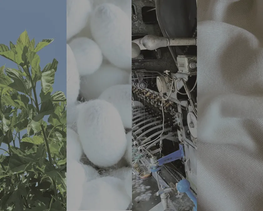 秩父シルク一元化構想