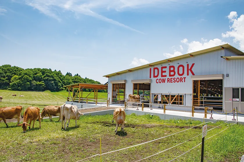 COW RESORT IDEBOK 外観