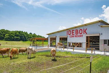 COW RESORT IDEBOK 外観
