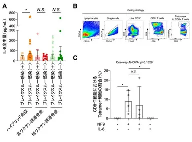 図2　血中サイトカイン・ケモカイン解析とSARS-CoV-2特異的CD8+T細胞誘導に対するIL-8の影響